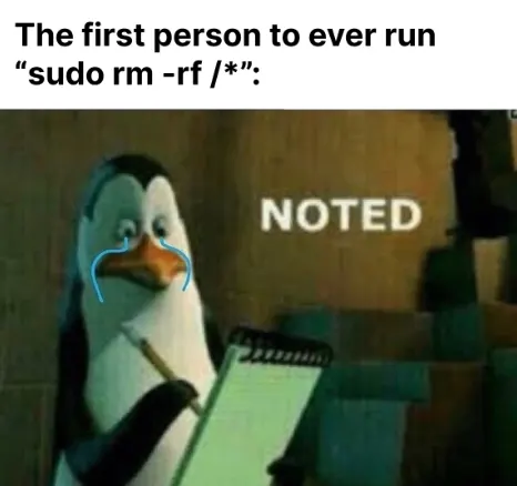 The first person to ever run sudo rm -rf /*: Noted