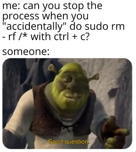 Can you stop sudo rm -rf with Ctrl+C? Good question